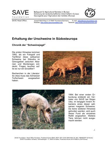 Erhaltung der Urschweine in Südosteuropa - SAVE Foundation