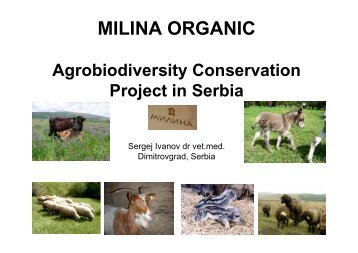 The Milina Organic project in Serbia - SAVE Foundation