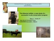 The Albanian buffalo: a case study of a ... - SAVE Foundation