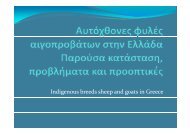 Indigenous breeds sheep and goats in Greece - SAVE Foundation