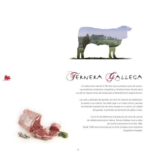 El Libro De Las Carnes De Calidad Diferenciada - Agrodigital