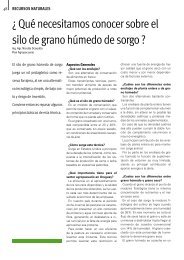 ¿Que necesitamos conocer sobre el silo de grano húmedo de sorgo?