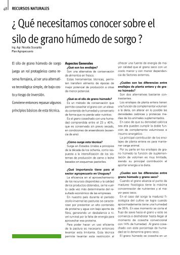 ¿Que necesitamos conocer sobre el silo de grano húmedo de sorgo?