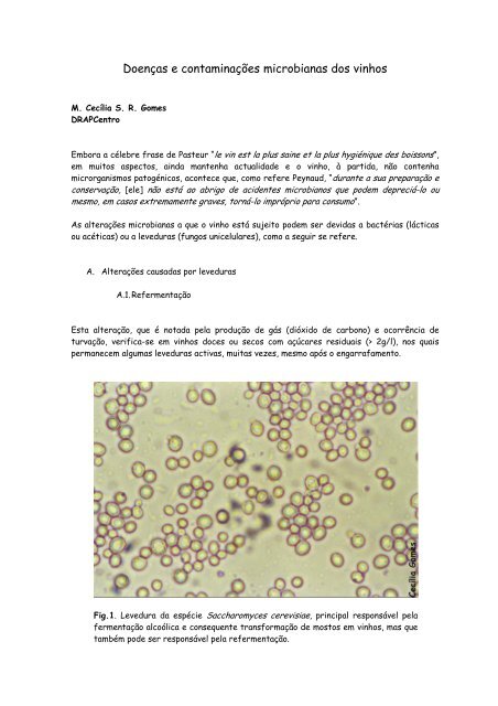 Doenças e contaminações microbianas dos vinhos