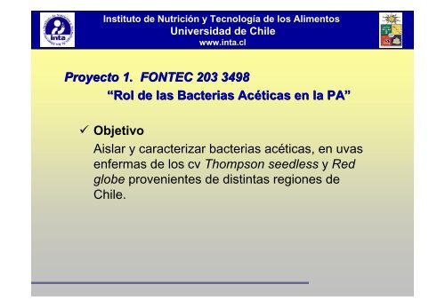 Rol de las Bacterias Acéticas en la Pudrición