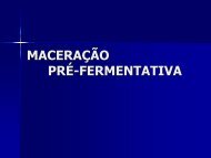 MACERAÇÃO PRÉ-FERMENTATIVA.pdf