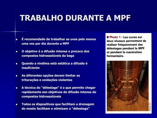 MACERAÇÃO PRÉ-FERMENTATIVA.pdf