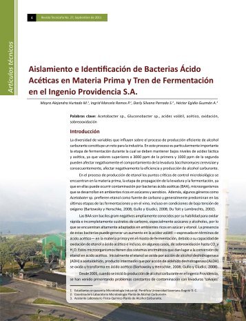 Aislamiento e Identificación de Bacterias Ácido Acéticas ... - Tecnicaña