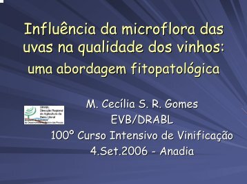 Influência da microflora das uvas na qualidade dos vinhos: uma ...