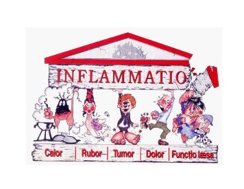 Inflamação - ICB