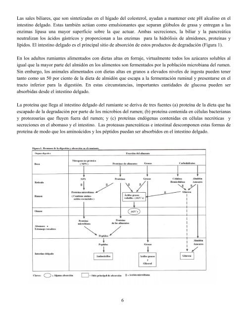 De La Alimentación a La Leche - Penn State Extension