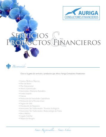 hacer click aqui para accesar archivo pdf para - Auriga Consultores ...