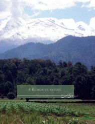 4. RecaRgaR los acuífeRos - Consejo de Cuenca del Valle de México