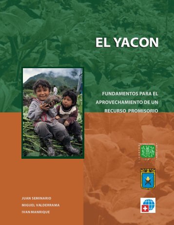 El Yacon Fundamentos para el Aprovechamiento de un Recurso ...