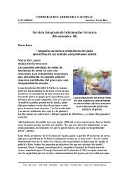 Servicio Integrado de Información Arrocera (06 ... - Conarroz