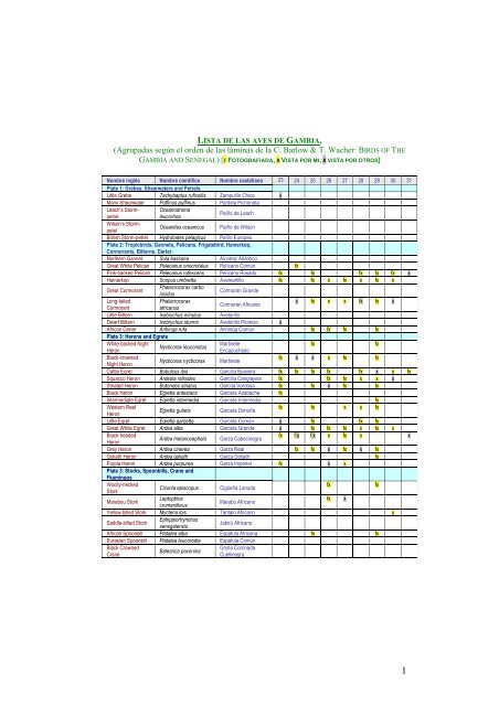 Lista de taxones observados - Aves Ibericas