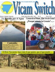 no 34, marzo de 2010 - Vicam Switch