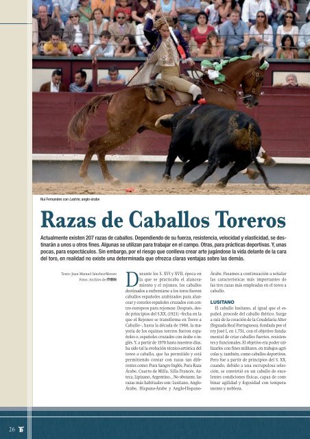 Toreo a caballo: Razas de caballos toreros - Las Ventas