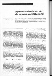 Apuntes sobre la acción de amparo constitucional