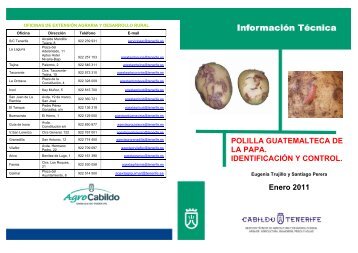 Polilla Guatemalteca de la papa. Identificación y Control - AgroCabildo