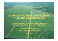 la palma aceitera en el perú y los biocombustibles - Corpoica