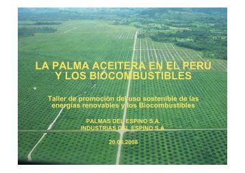 la palma aceitera en el perú y los biocombustibles - Corpoica