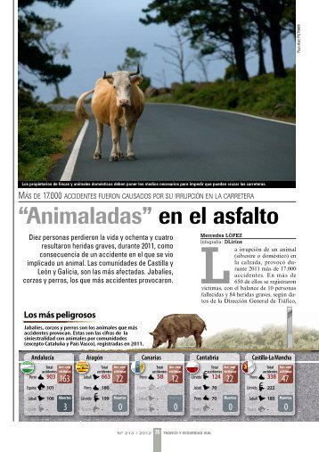 "Animaladas en el asfalto". Los animales causaron más e ... - Adecana