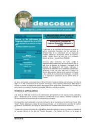descosur Nº 20 - desco - Programa Regional Sur