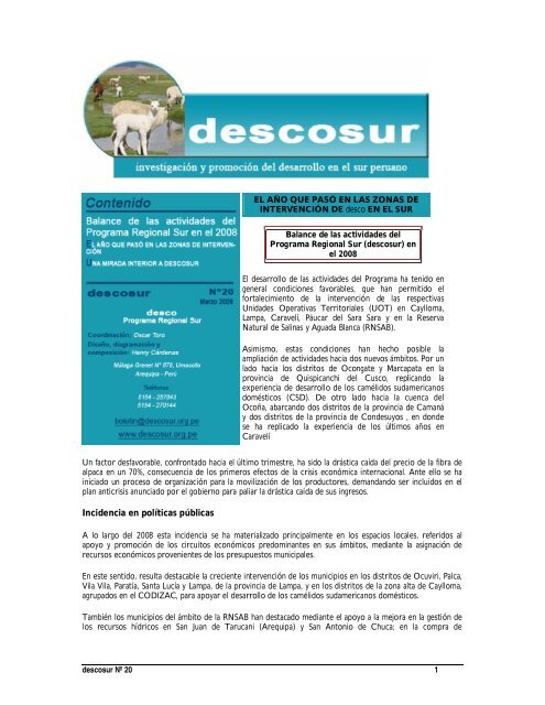 descosur Nº 20 - desco - Programa Regional Sur