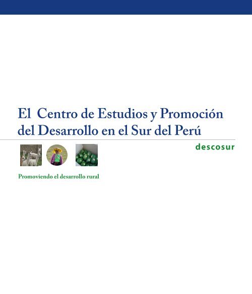 El Centro de Estudios y Promoción del Desarrollo en el Sur del Perú