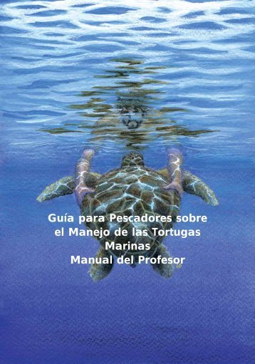 Guía para Pescadores sobre el Manejo de las Tortugas Marinas ...
