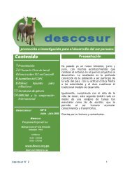 descosur N° 2 - desco - Programa Regional Sur