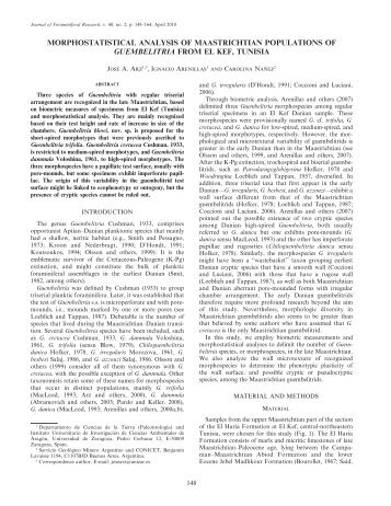 Download PDF - Group of Micropaleontology (Universidad de ...