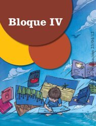 Bloque IV