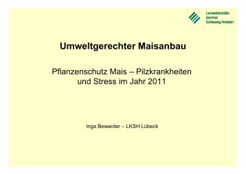 Inga Bewarder - Pflanzenschutz - Umweltgerechter Maisanbau