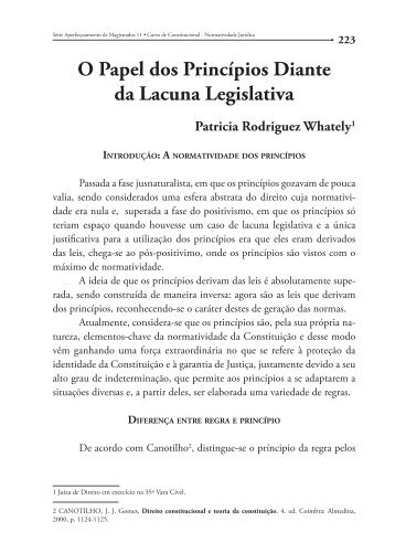 O Papel dos Princípios Diante da Lacuna Legislativa - Emerj