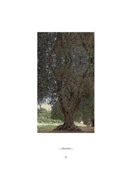 ALBERI - dieci anni di poesie.pdf - Antonella Barina