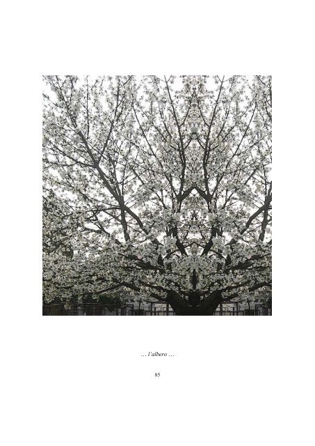 ALBERI - dieci anni di poesie.pdf - Antonella Barina