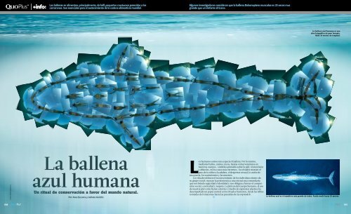 Ver PDF - The Human Blue Whale