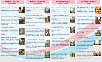 Formato notificación - Nuevo Postnatal