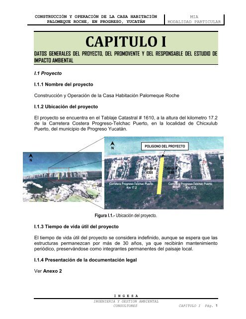 CAPITULO I - sinat - Semarnat