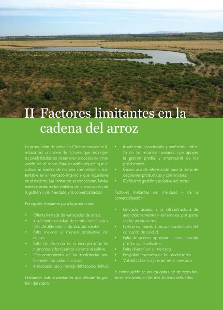 Agenda de Innovación Agraria para la Cadena del Arroz en Chile - Fia