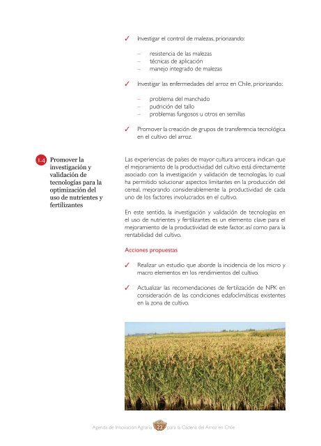 Agenda de Innovación Agraria para la Cadena del Arroz en Chile - Fia