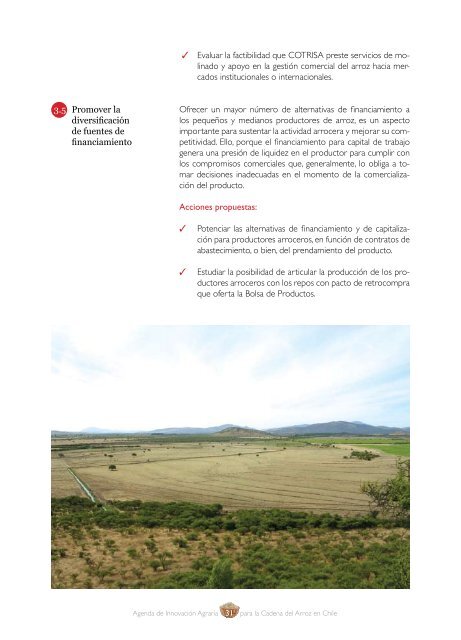 Agenda de Innovación Agraria para la Cadena del Arroz en Chile - Fia