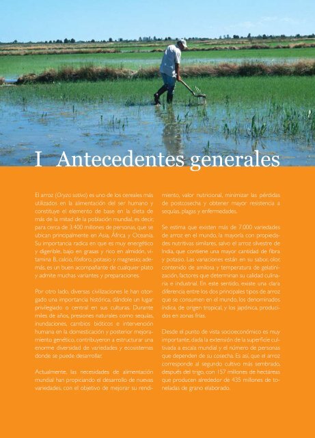 Agenda de Innovación Agraria para la Cadena del Arroz en Chile - Fia