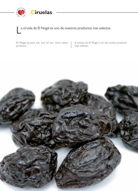 Descarga en PDF - Nogal