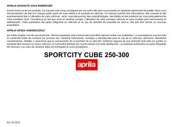 SPORTCITY CUBE 250-300 - Aprilia Brand - After-Sales Website