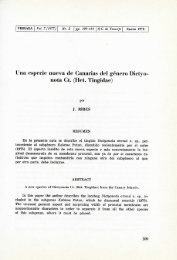 Una especie nueva de Canarias del género Dictyo nota Ct. (Het ...