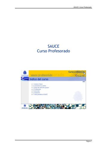 SAUCE Curso Profesorado - Educastur