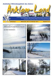 Winterimpressionen - Amt Anklam Land